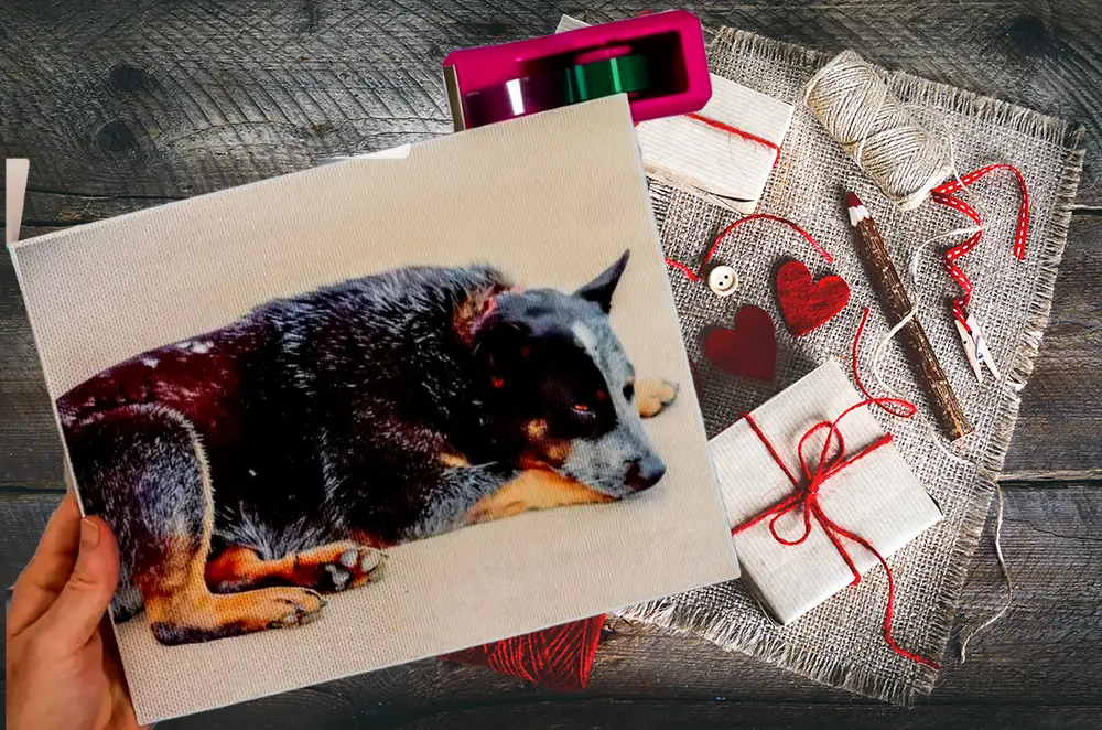 auto draft auto draft